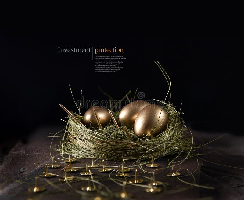 Financial Investment Protection Concept