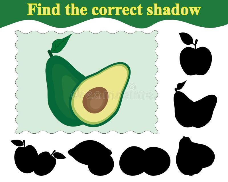 Find the correct shadow of avocado. Education. Game for children