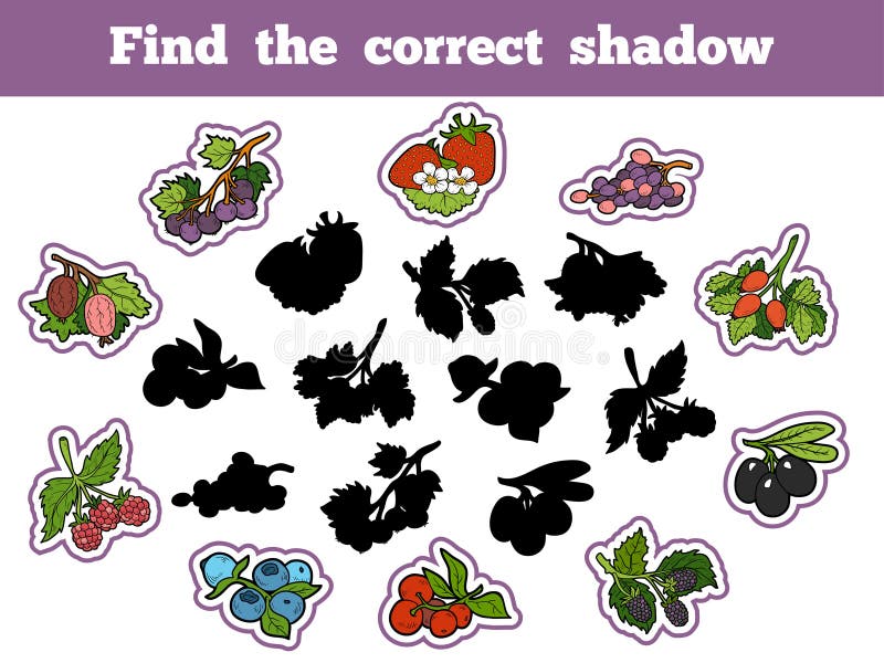 Find the correct shadow (berry and fruits)