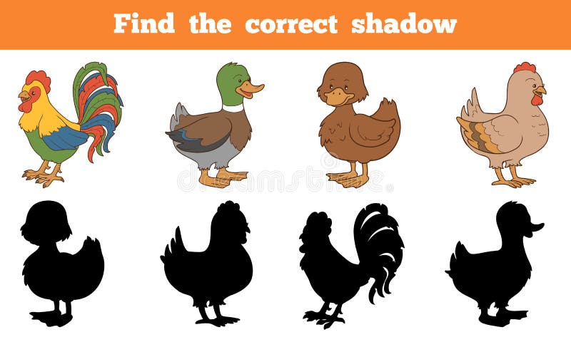Find the correct shadow: farm animals (chicken and ducks)