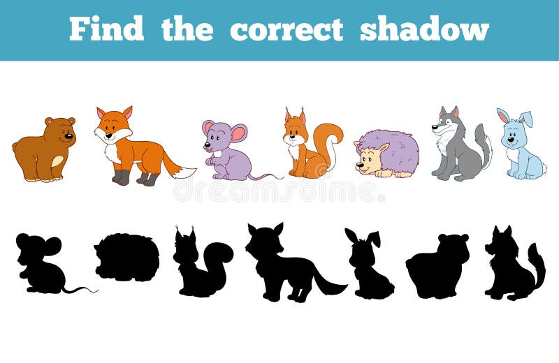 Find the correct shadow (forest animals)