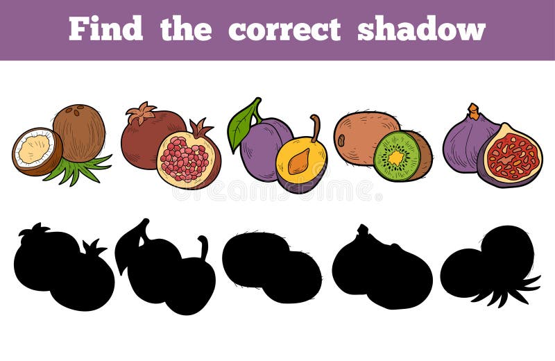 Find the correct shadow (fruits)