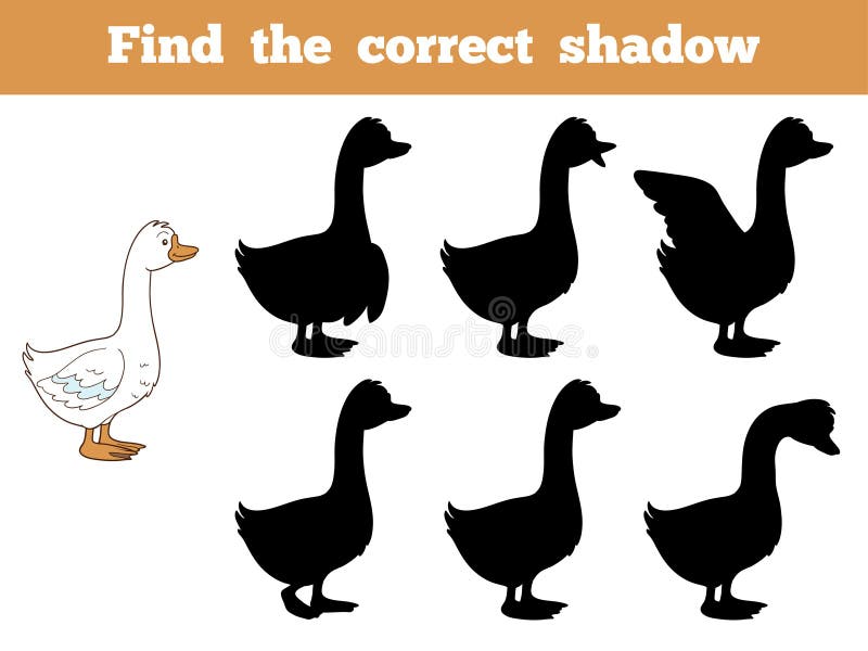 Find the correct shadow (goose)