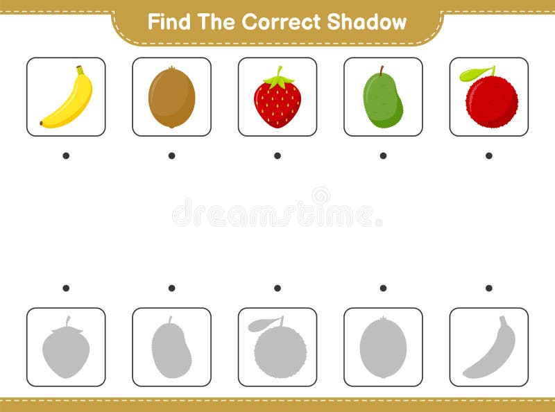 Premium Vector  Find the correct shadow find and match the