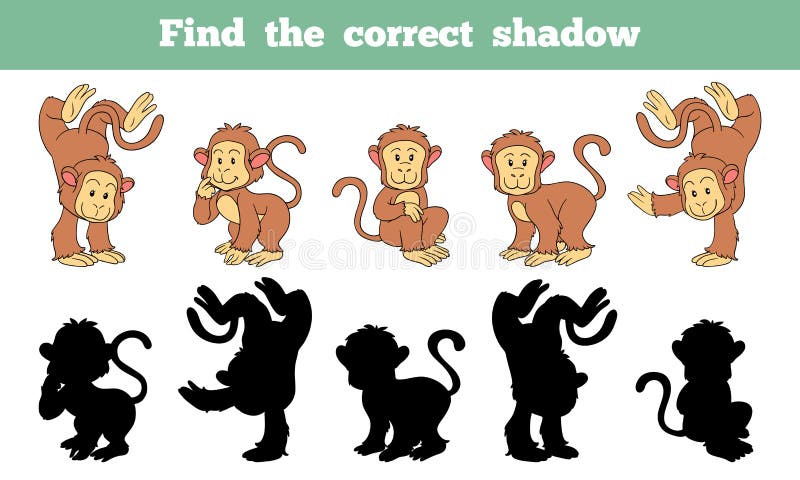 Find the correct shadow (monkey)