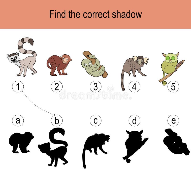 Find the Correct Shadow Puzzle with Monkeys Living in Tropics. Illustration  Can Be Used As Logic Game for Children Stock Vector - Illustration of  logic, puzzle: 218598889