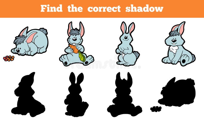 find the rabbit photo find the rabbit photo