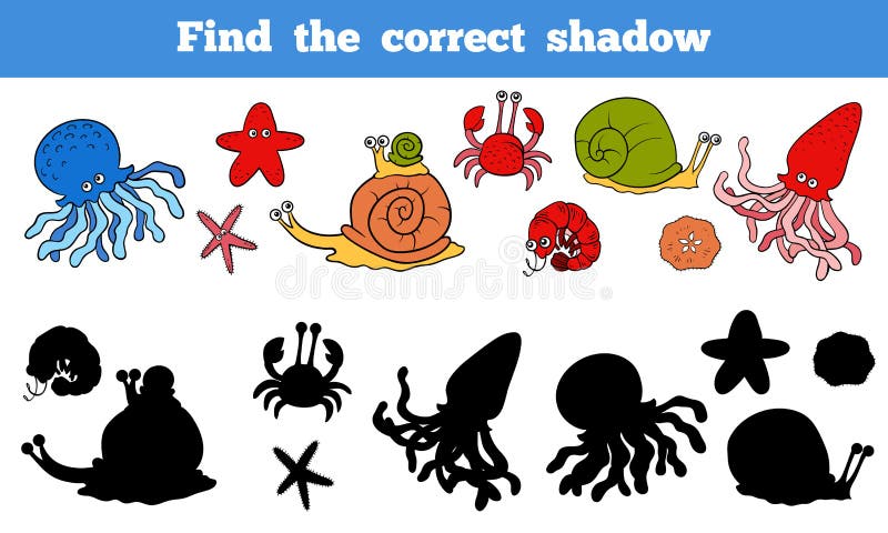 Find the correct shadow (sea life, fish, octopus, snail, stars