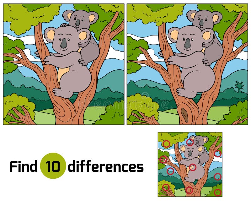 Find differences (koala) royalty free illustration Find differences (koala) royalty free illustration