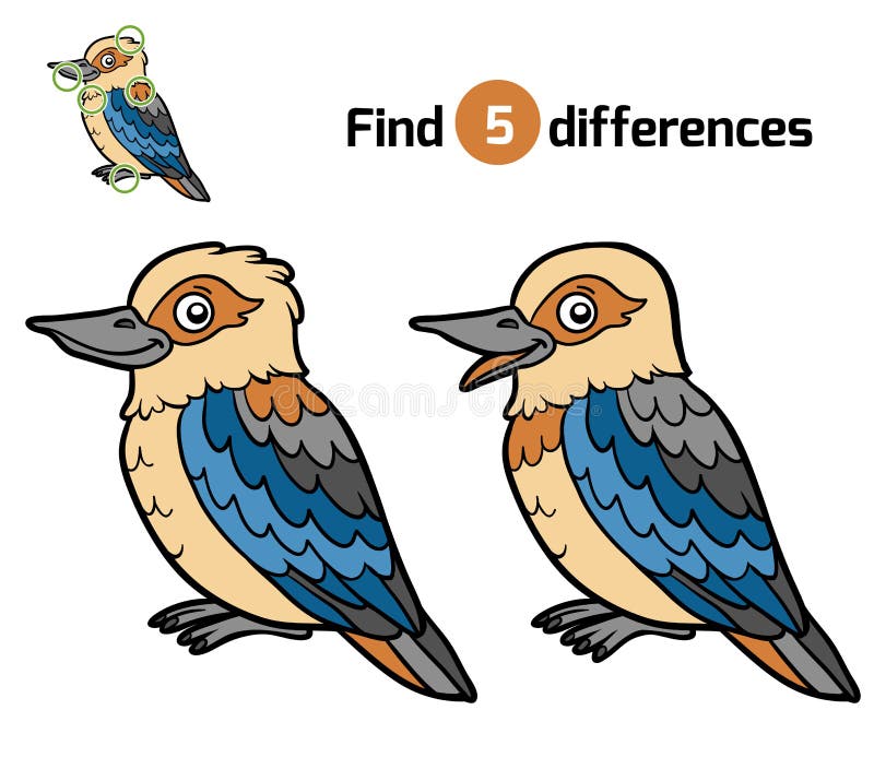 Find Differences, Kookaburra Stock Vector Illustration of beak, page