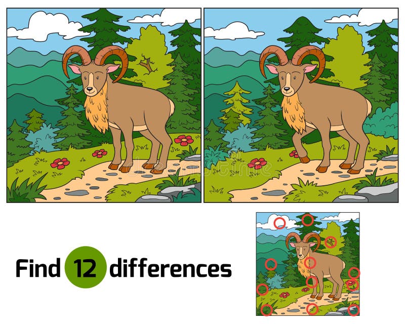 Find differences (Urial, wild sheep)