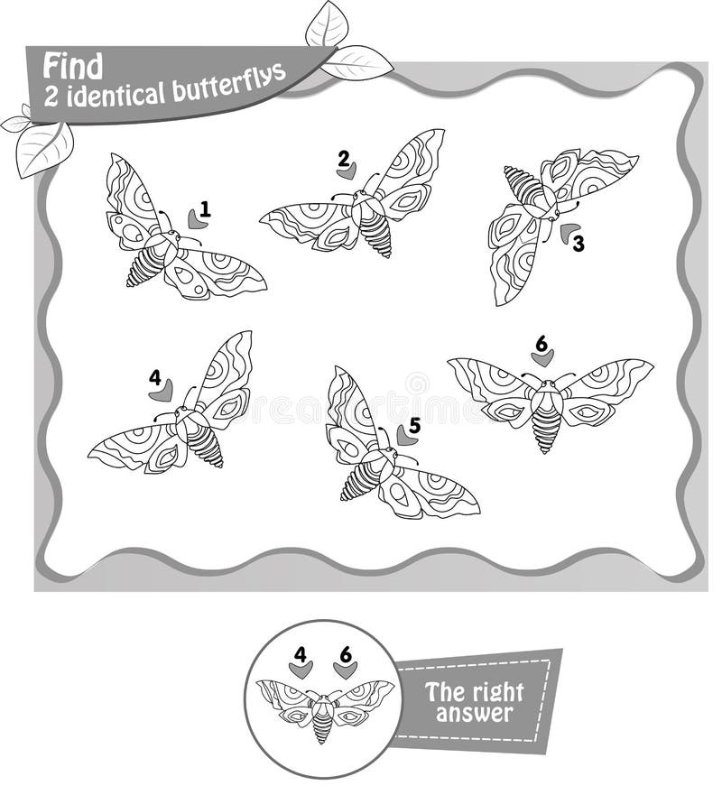 Find 2 identical butterflies black. Visual game, coloring book for children and adults. Task to find 2 identical butterflies . black and white illustration