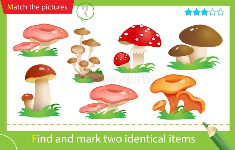 Find and mark two identical items. Puzzle for kids. Matching game, education game for children. Color image of mushrooms. Fly