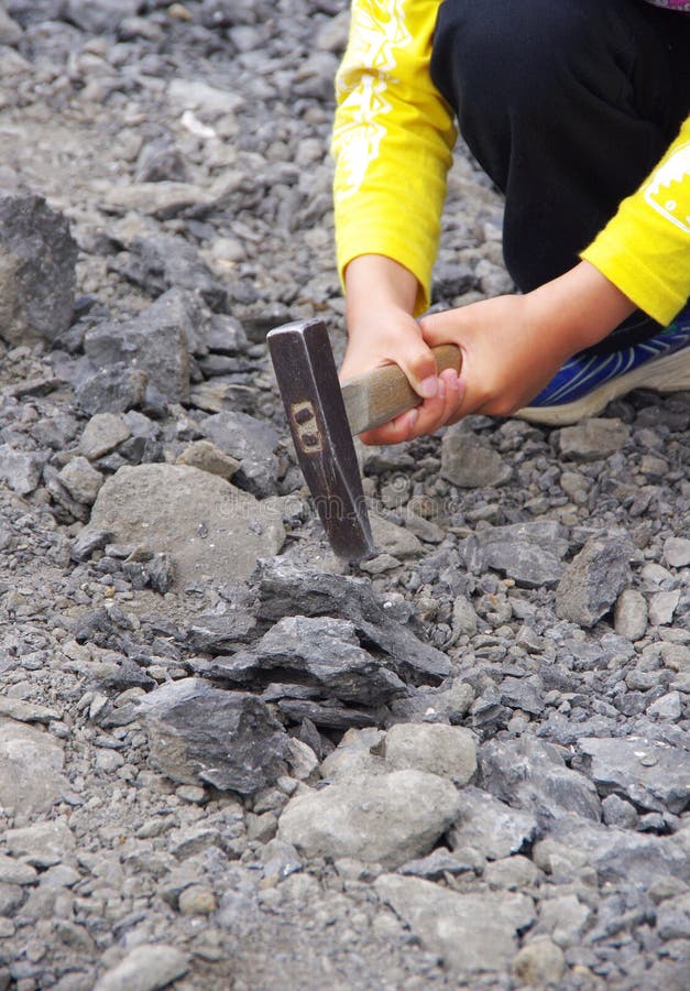 Japan Fossils Stock Photos Free & RoyaltyFree Stock Photos from