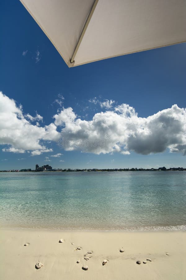 Finding Shade Under Umbrella at the Beach, Nassau, Bahamas Stock Photo Image of isolated