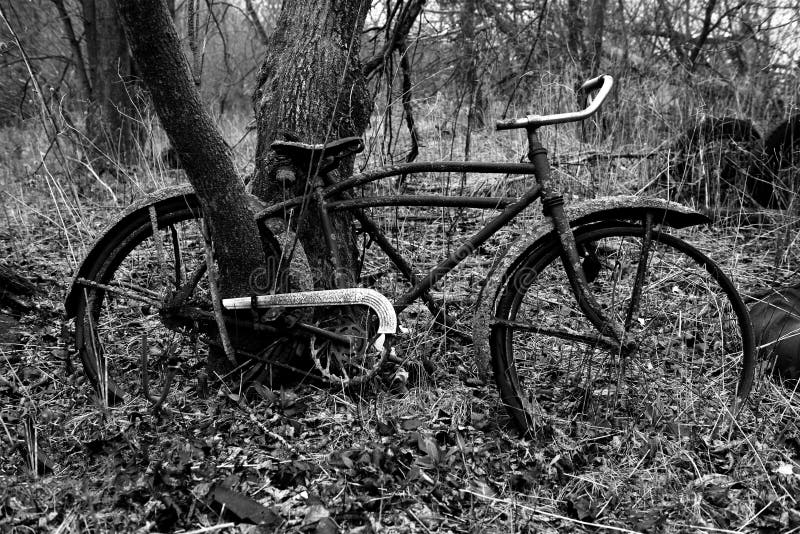 Fine art photography, image of an old, vintage retro bike. The bicycle is rusting away in the woods and has a tree growing through the spoke tires. Fine art photography, image of an old, vintage retro bike. The bicycle is rusting away in the woods and has a tree growing through the spoke tires.