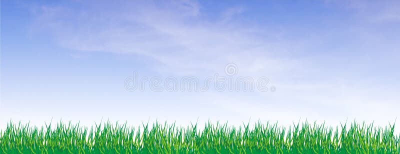 Fine background 1 stock image. Image of leaves, field - 3414499