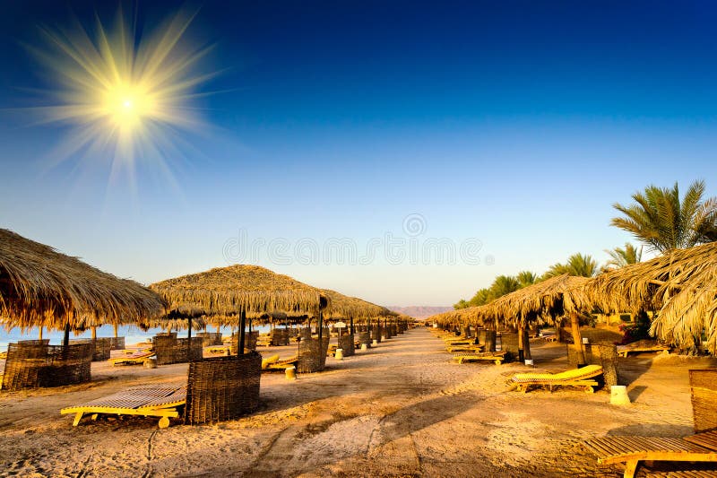 Fine beach in the Egypt.