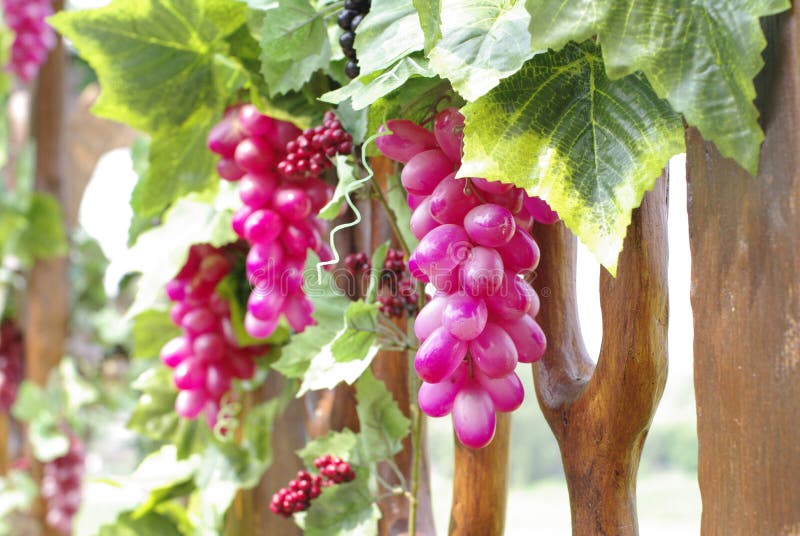 Fine del vino dell'uva su immagini stock Fine del vino dell'uva su immagini stock