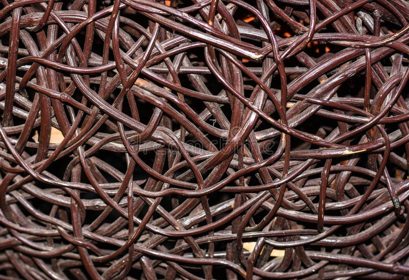 Fine della forma libera del rattan di Brown su immagini stock