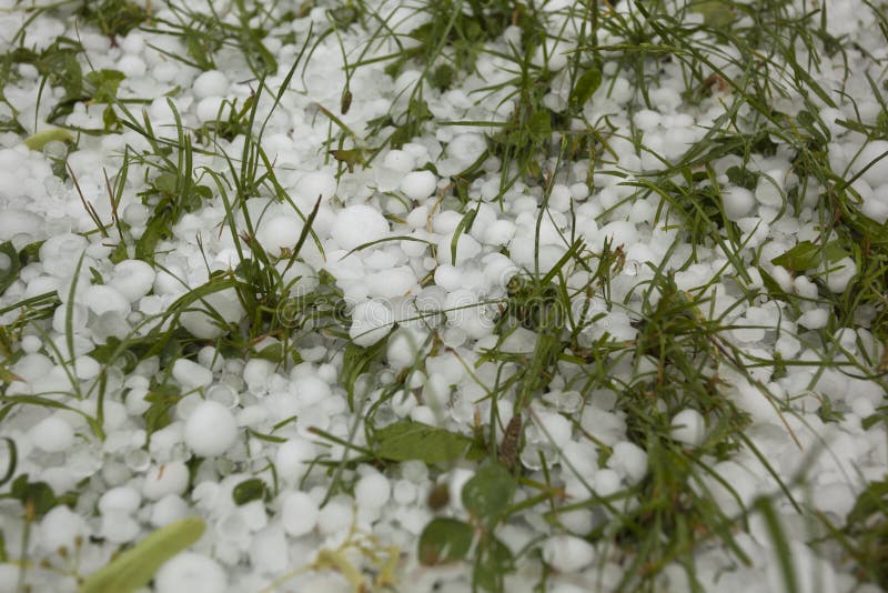 Hail on green grass close up - Weather Storm Disaster. Hail on green grass close up - Weather Storm Disaster