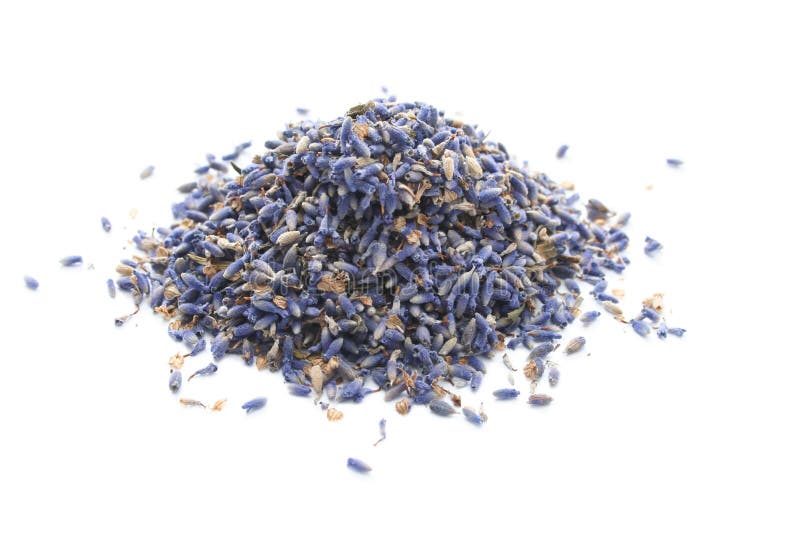 Fine secca della lavanda in su fotografie stock libere da diritti