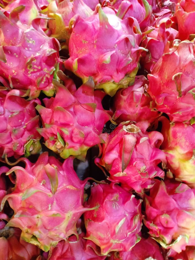 Fine sul pitaya fresco della frutta del drago fotografia stock libera da diritti