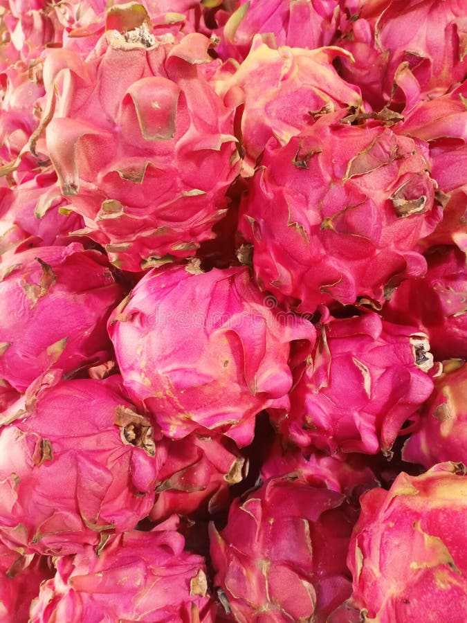 Fine sul pitaya fresco della frutta del drago immagine stock libera da diritti
