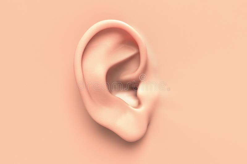 Fine umana dell'orecchio in su