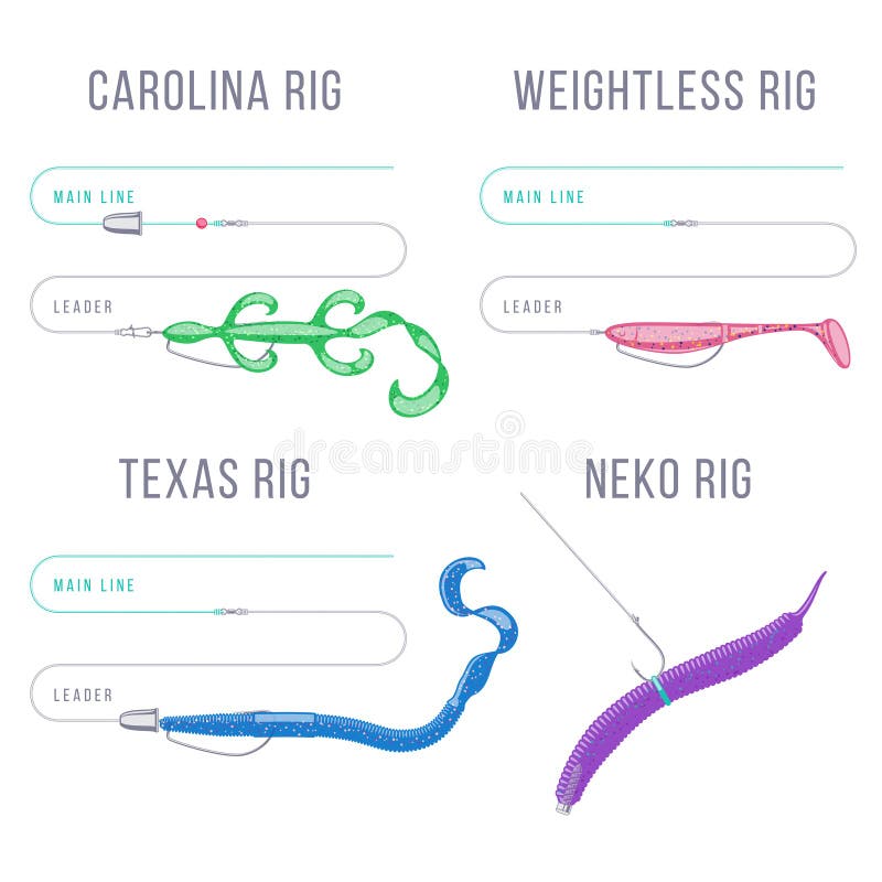 Offset Hook Rigging Options for Catching Predatory Fish with