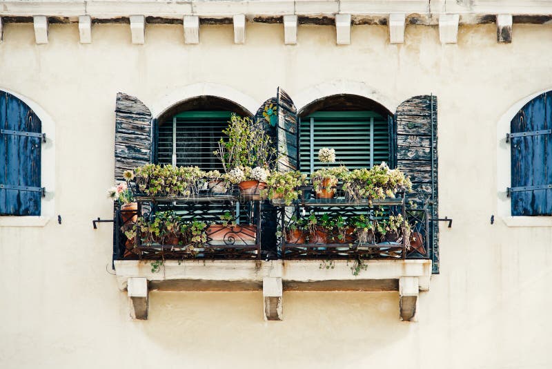 Finestre con camicie blu e fiori sulla facciata gialla nella vecchia casa di Venezia immagini stock Finestre con camicie blu e fiori sulla facciata gialla nella vecchia casa di Venezia immagini stock