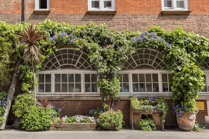 Finestre Inglesi Immagine Stock Immagine Di Piante Finestra