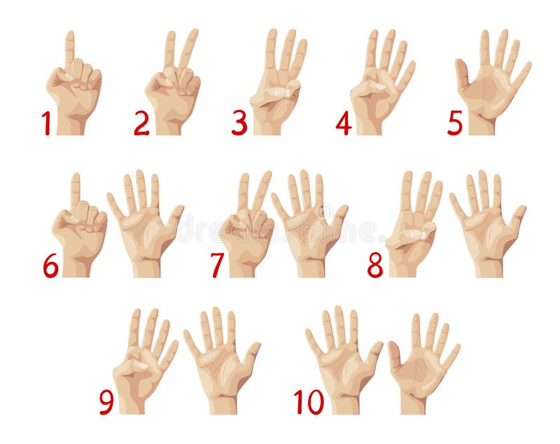 Finger Count, Hand Showing Numbers from One To Ten. Education, Palm ...