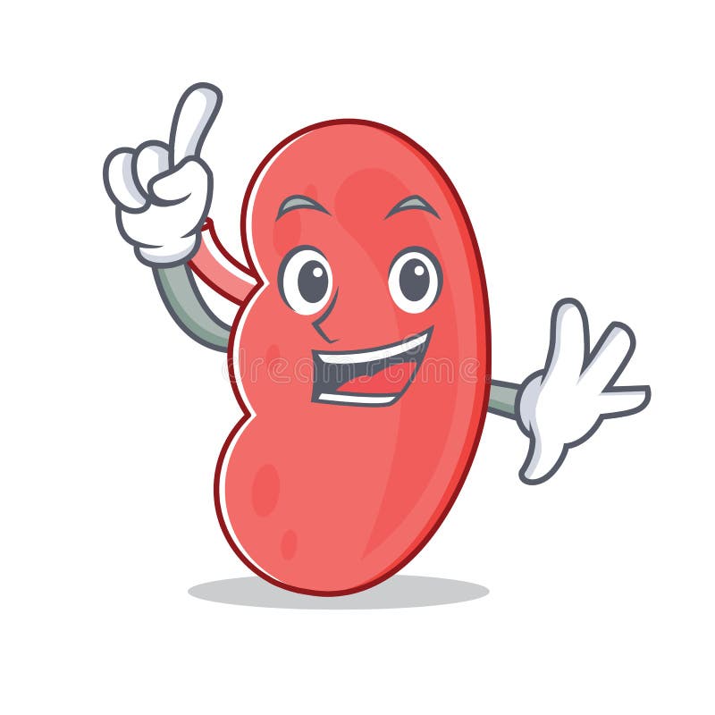 Happy Kidney Cartoon Stock Illustrations – 1,430 Happy Kidney Cartoon Stock Illustrations, Vectors & Clipart - Dreamstime Happy Kidney Cartoon Stock Illustrations – 1,430 Happy Kidney Cartoon Stock Illustrations, Vectors & Clipart - Dreamstime