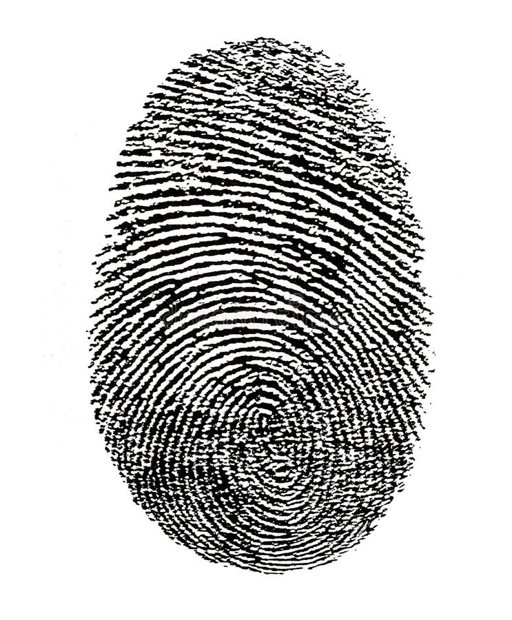 Finger print isolated on a white background. Finger print isolated on a white background