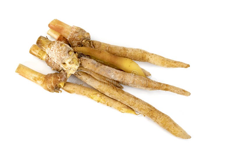 Finger Root Or Chinese`s Ginger Sliced Isolated On The White Background