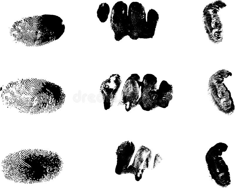 Dog fingerprint stock vector. Illustration of identity 2146361