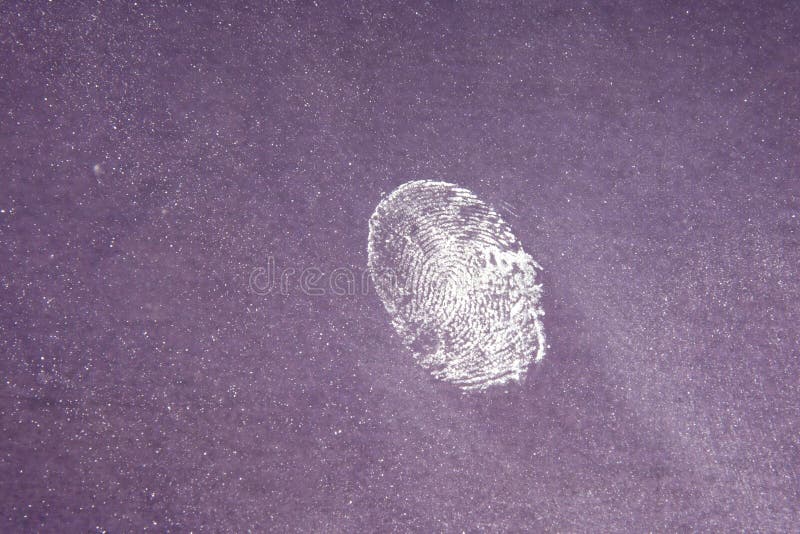 Fingerprint on a blue blotter dusted with evidence marker. Fingerprint on a blue blotter dusted with evidence marker