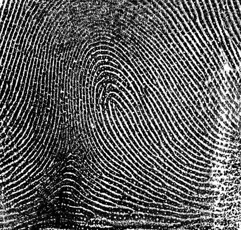 Black Fingerprint On White Paper Stock Image Image of pushing, black