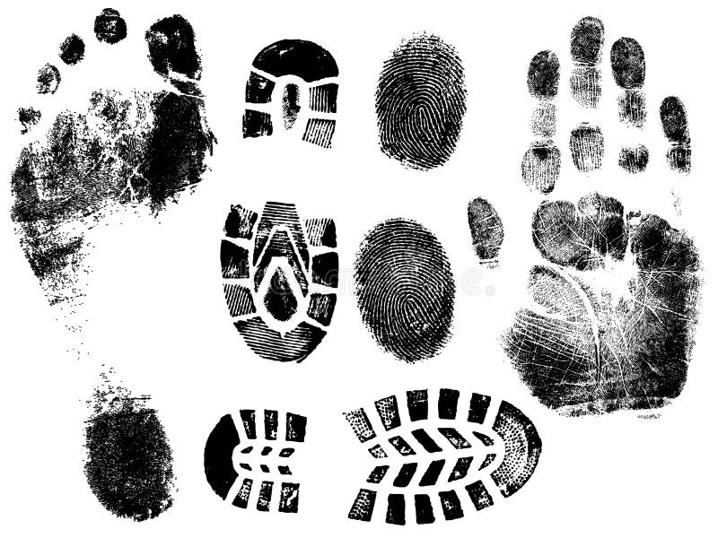 Обнаруженных следов предметов и. Трасология и дактилоскопия. Следы трасология криминалистика. Отпечаток обуви. Следы ног трасология.
