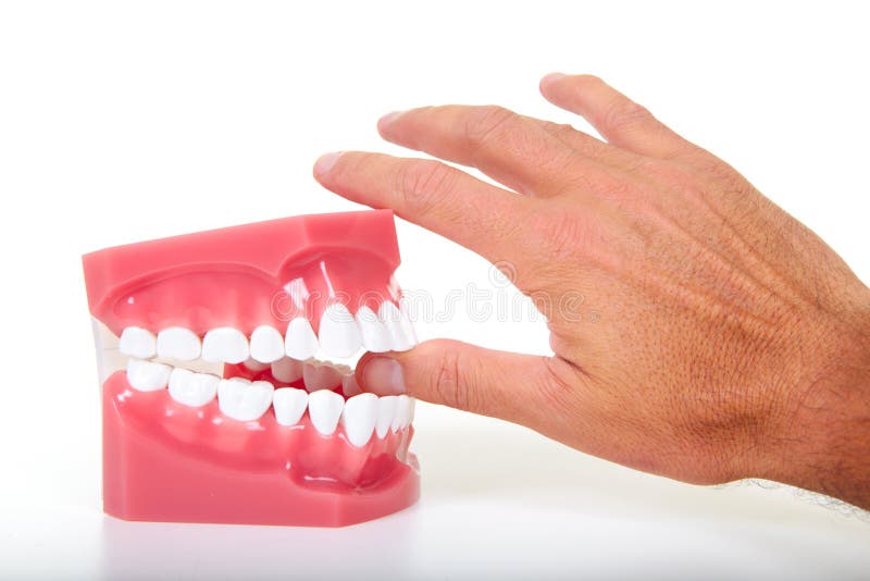 Fingers and teeth stock image. Image of student, tooth 48009007