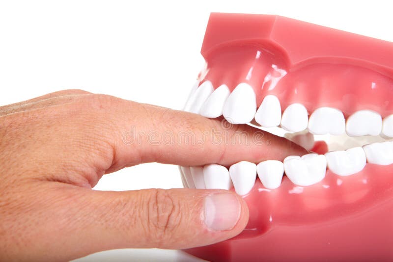 Fingers and teeth stock image. Image of finger, person 48009159