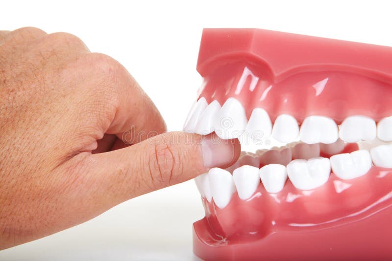 Fingers and teeth stock image. Image of student, tooth 48009007