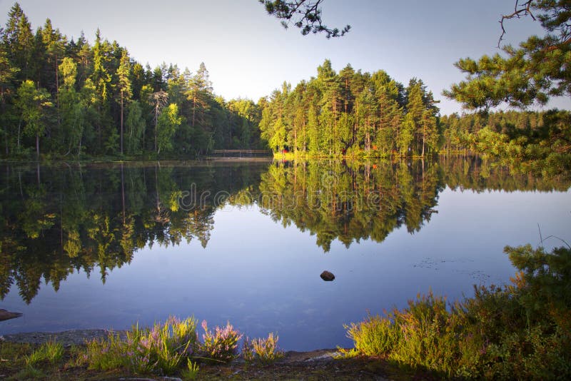 Finland: Kalm meer in de zomer royalty-vrije stock foto's Finland: Kalm meer in de zomer royalty-vrije stock foto's