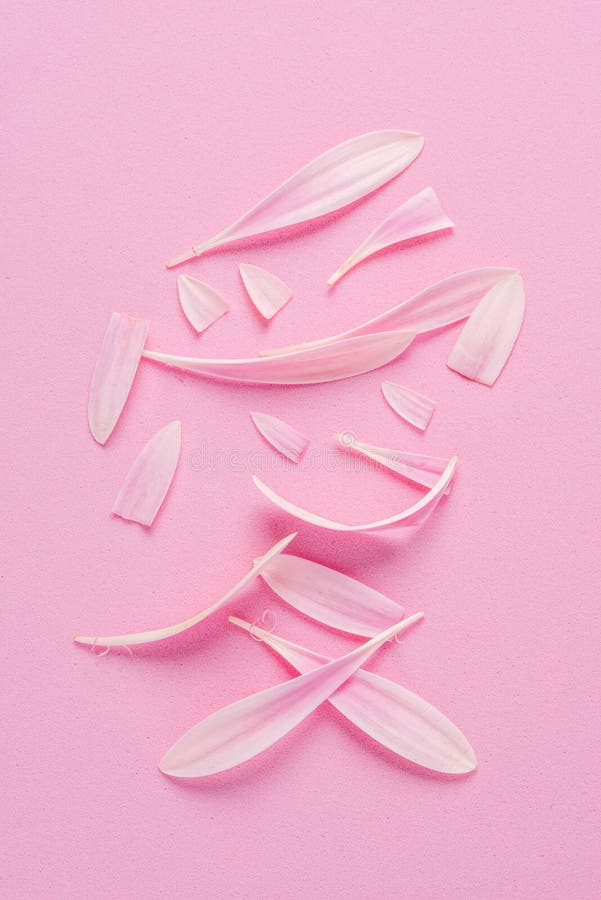 Fintvätt av rosa rosa blommor som arrangeras som en röd kinesisk symbol hieroglyf på en rosa bakgrund arkivfoto
