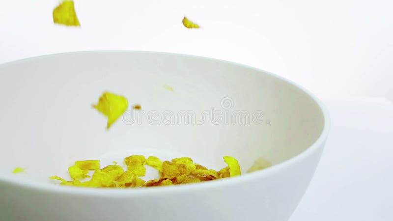 Fiocchi di mais del cereale che cadono in una ciotola, colpo al rallentatore su fondo bianco, concetto dell'alimento sano di diet