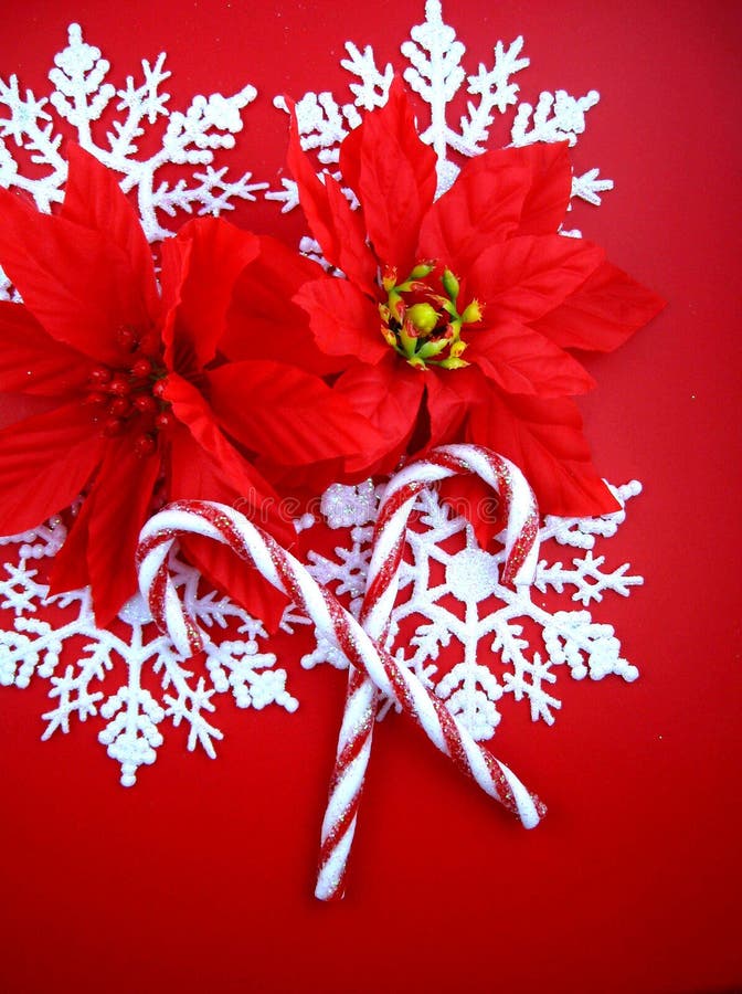 White snowflakes with poinsettias and candy canes on red background for Christmas holiday. White snowflakes with poinsettias and candy canes on red background for Christmas holiday