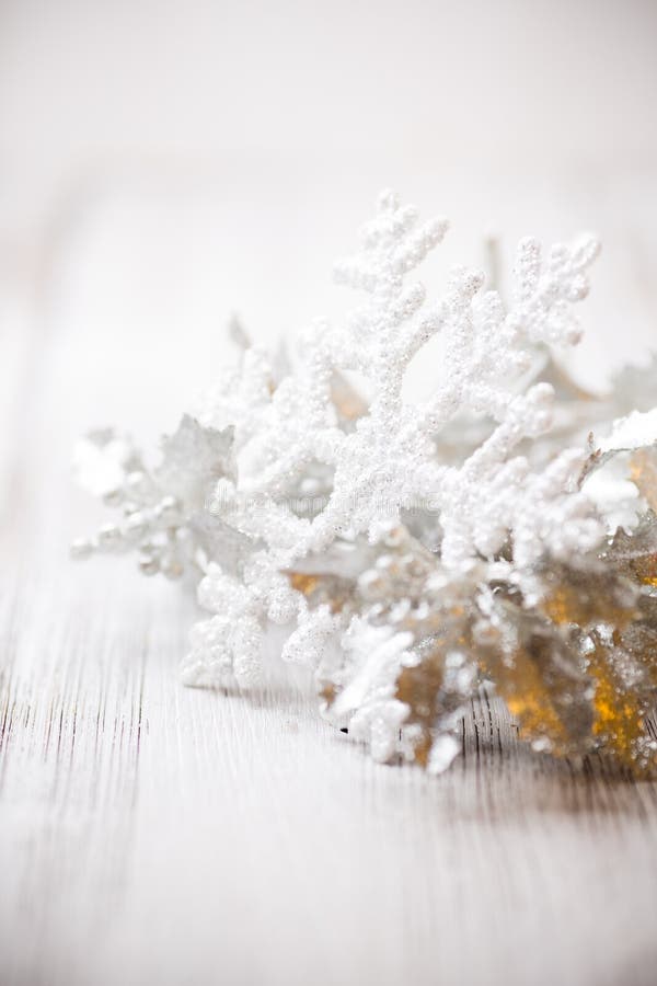 Fiocco di neve. fotografia stock Fiocco di neve. fotografia stock