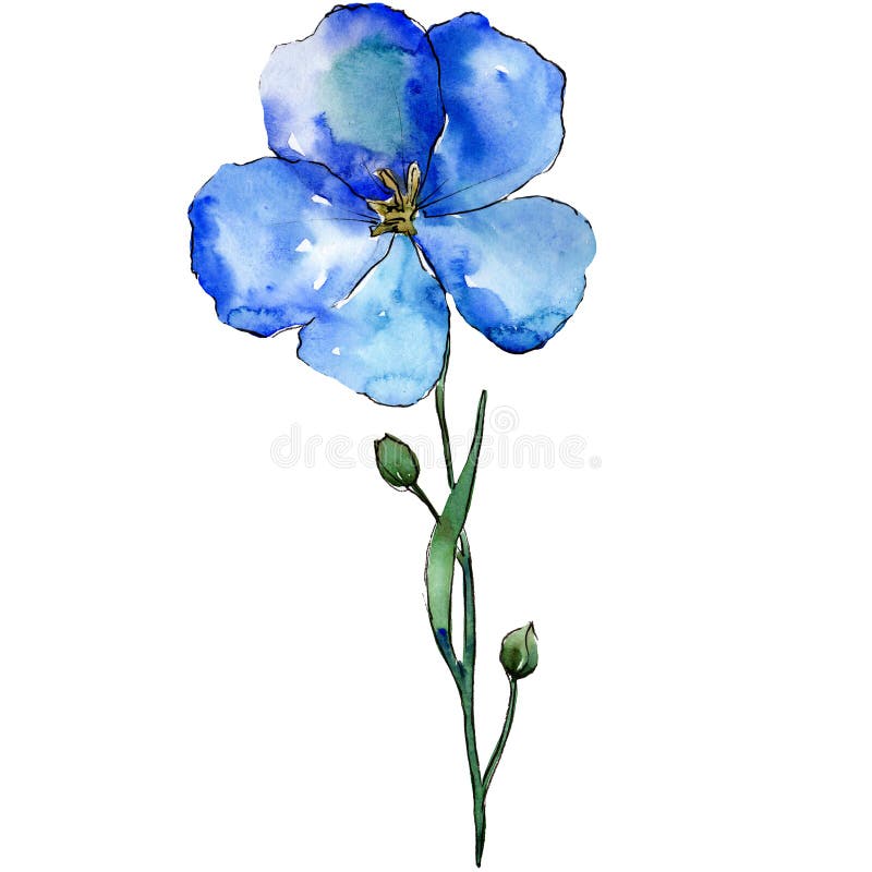 Fiore blu del lino con le foglie verdi ed i germogli Elemento isolato dell'illustrazione del lino Insieme della priorità bassa de royalty illustrazione gratis Fiore blu del lino con le foglie verdi ed i germogli Elemento isolato dell'illustrazione del lino Insieme della priorità bassa de royalty illustrazione gratis