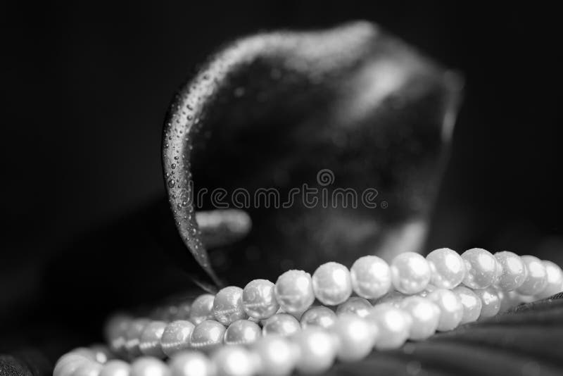 Fiore della calla nera e della collana bianca della perla fotografia stock libera da diritti